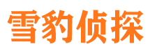 沙市婚外情调查取证